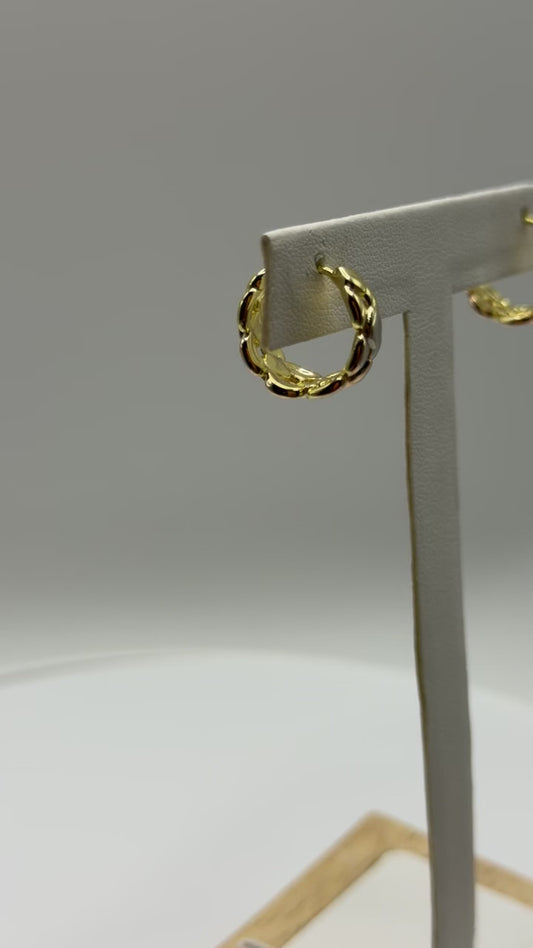 Aurique Itallian stud 1006