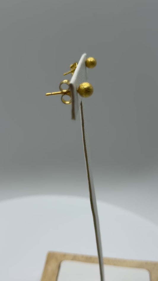 Aurique Itallian stud 1011